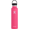 Hydroflask 24oz Standard Mouth